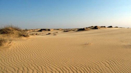 Олешківські піски на Херсонщині. Світлина з вікіпедії