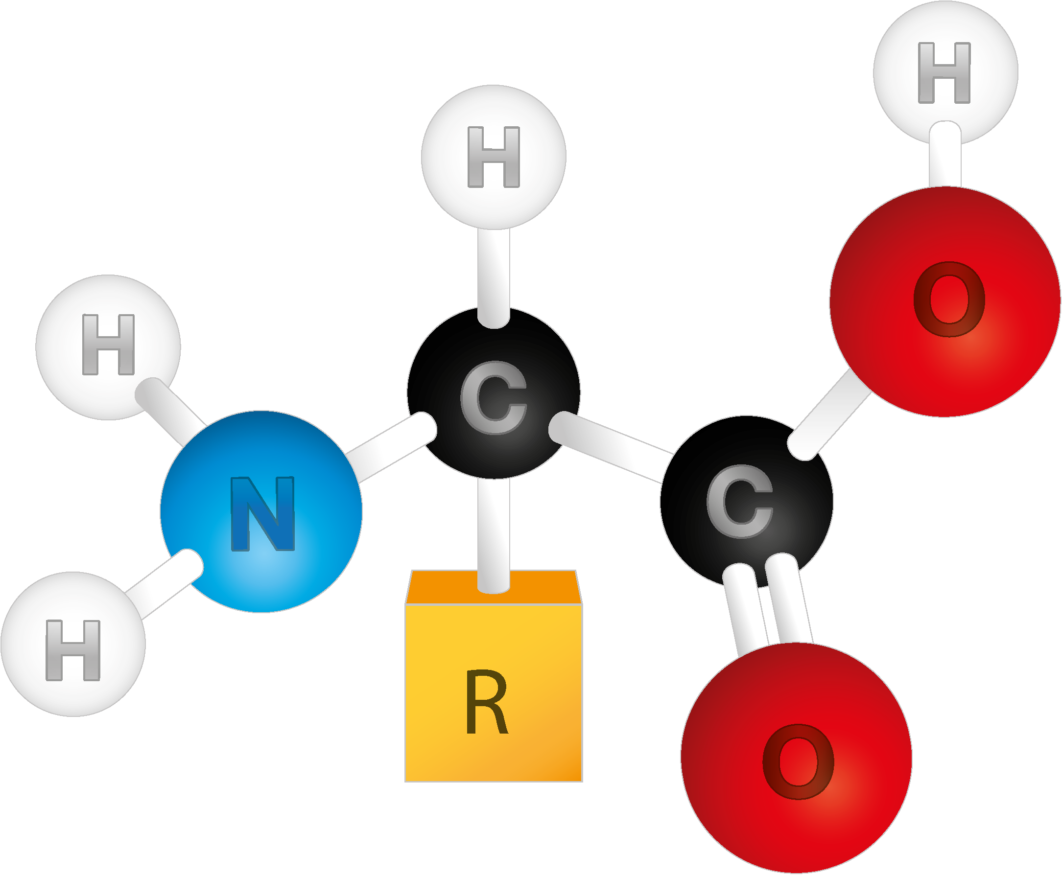asset-v1:UIED+Biology-and-Ecology-10th-grade+2020+type@asset+block@%D0%A3%D1%80%D0%BE%D0%BA_9._%D0%91%D1%96%D0%BB%D0%BA%D0%B8__%D0%BD%D1%83%D0%BA%D0%BB%D0%B5%D1%97%D0%BD%D0%BE%D0%B2%D1%96_%D0%BA%D0%B8%D1%81%D0%BB%D0%BE%D1%82%D0%B8__%D0%B2%D1%83%D0%B3%D0%BB%D0%B5%D0%B2%D0%BE%D0%B4%D0%B8__%D0%BB%D1%96%D0%BF%D1%96%D0%B4%D0%B8_%D0%BE%D0%B3%D0%BB%D1%8F%D0%B4_%D0%B1%D1%83%D0%B4%D0%BE%D0%B2%D0%B8_%D0%B9_%D0%B1%D1%96%D0%BE%D0%BB%D0%BE%D0%B3%D1%96%D1%87%D0%BD%D0%BE%D1%97_%D1%80%D0%BE%D0%BB%D1%96._%D0%A7%D0%90%D0%A1%D0%A2%D0%98%D0%9D%D0%90_1__164032__%D0%BF%D0%BE%D0%BD%D0%B5%D0%B4%D1%96%D0%BB%D0%BE%D0%BA_03__%D0%B6%D0%BE%D0%B2%D1%82%D0%B5%D0%BD%D1%8C_2022___4.png