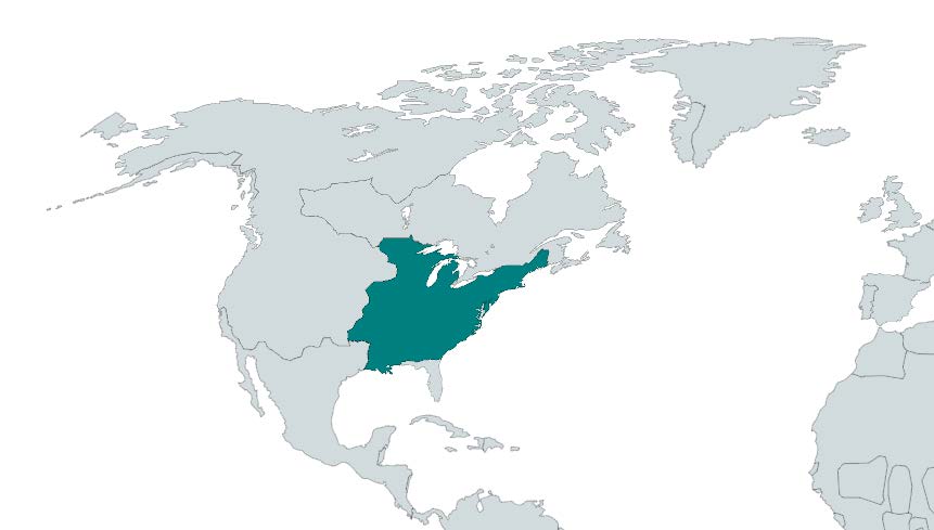 %D0%901.jpg